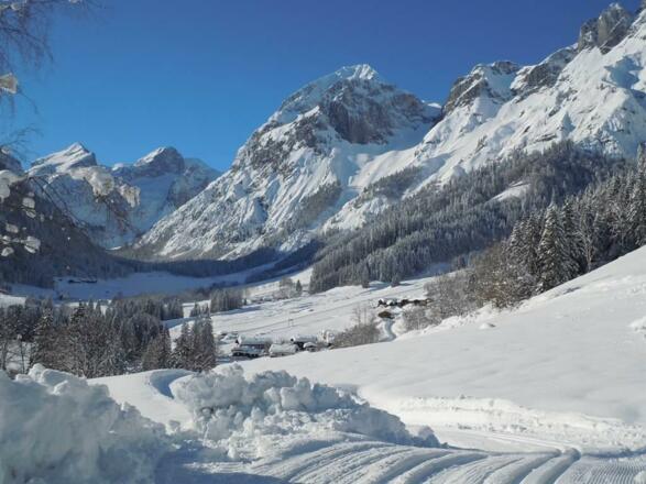 direkter Einstieg in die Loipe - Wildau-Lammertal