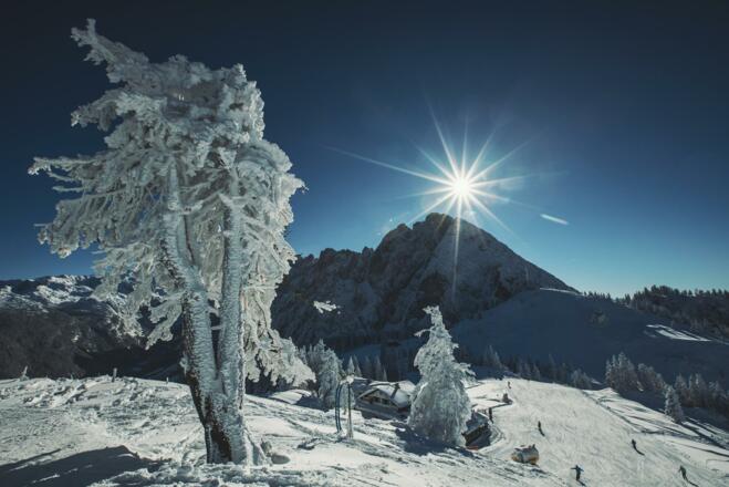 Zwieselalm mit Gosaukamm