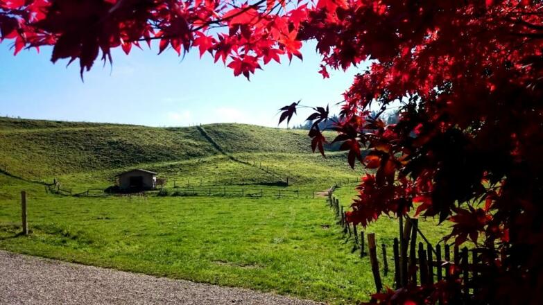 Wandern durch den kleinen &quot;Pfaffenwinkel&quot;