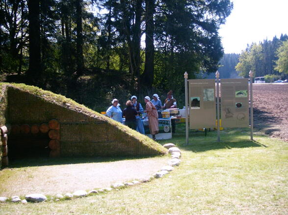 Hügelgrag in Steinrab