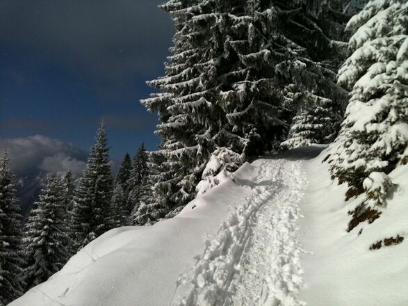 Winterweg Hochgernhaus