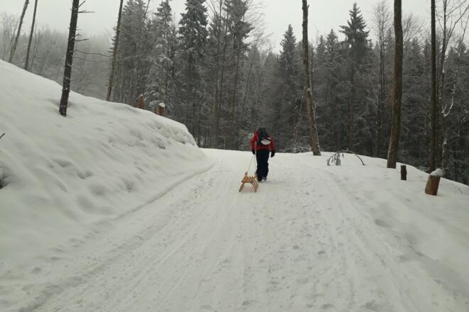 Aufstieg auf dem Wanderweg