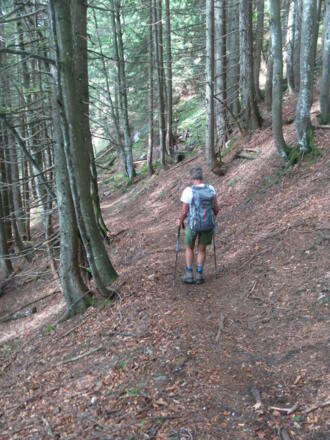 angenehmer Waldsteig zur Rechenbergalm