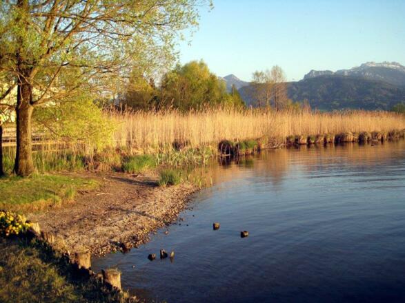 Ein Abstecher zum Chiemseeufer