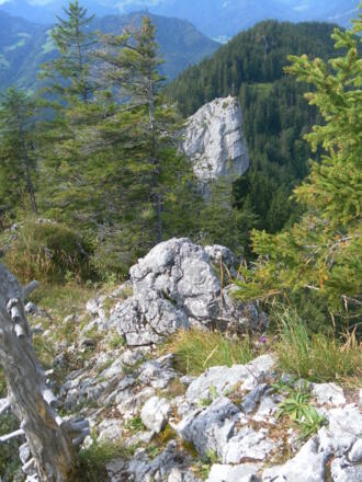 Dampfschiff aus dem Westgrat