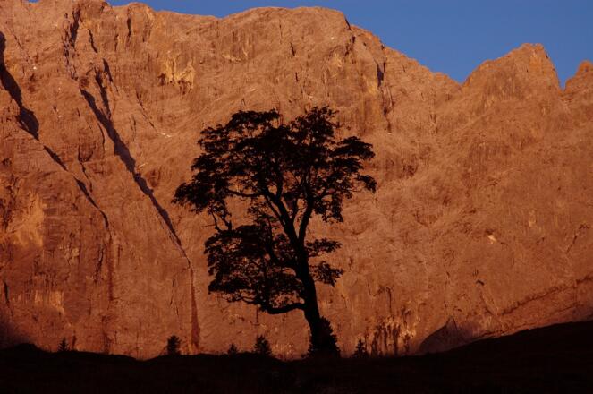 Bildrechte: Otto Leiner