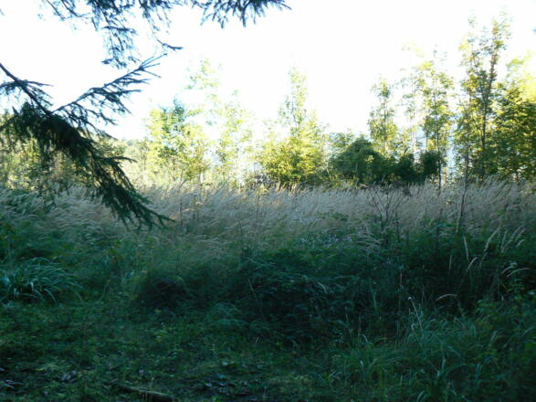 Nenzing, Scheibenstuhl u. Brandopferplatz