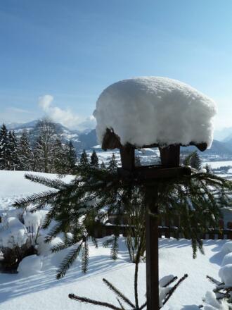 Wintervogelhaus
