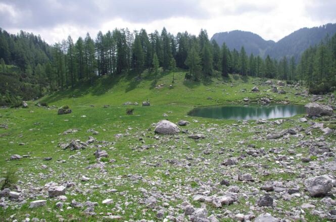 Der malerische Brunnsteinersee