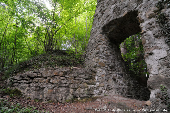 Lochau, Burg Althofen