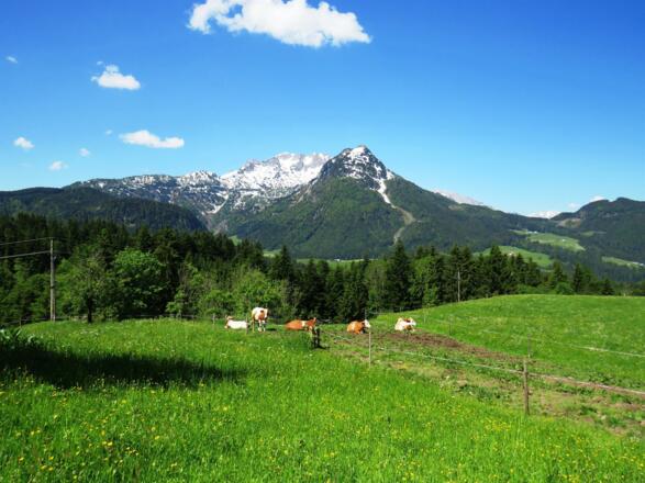 Blick zur Bischofsmütze
