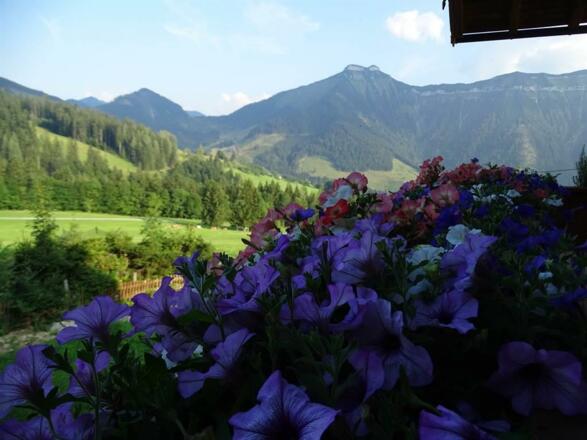 Blumen v Balkon mit Schmitten