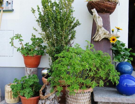 Gemütliche Terrasse