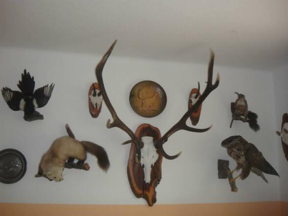 Vorhaus mit Trophäen