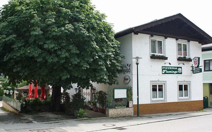 Pizzeria Flamingo