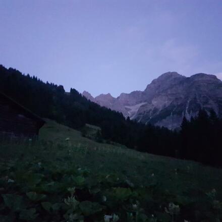 20170803_212356_001 (1)