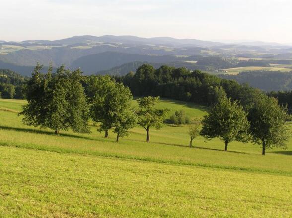 Landschaftsbild Mühlviertel