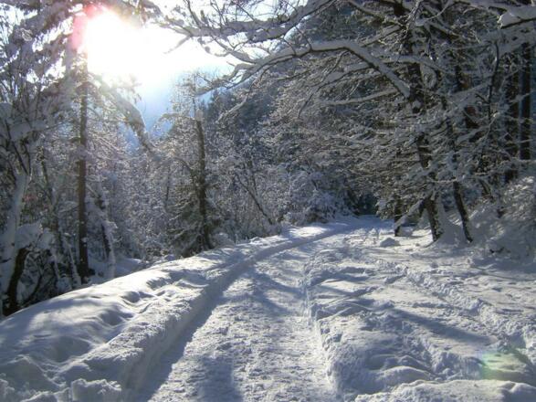 Winterwanderweg Bluntautal