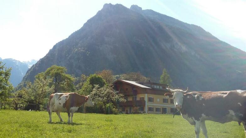 Außenansicht Garten