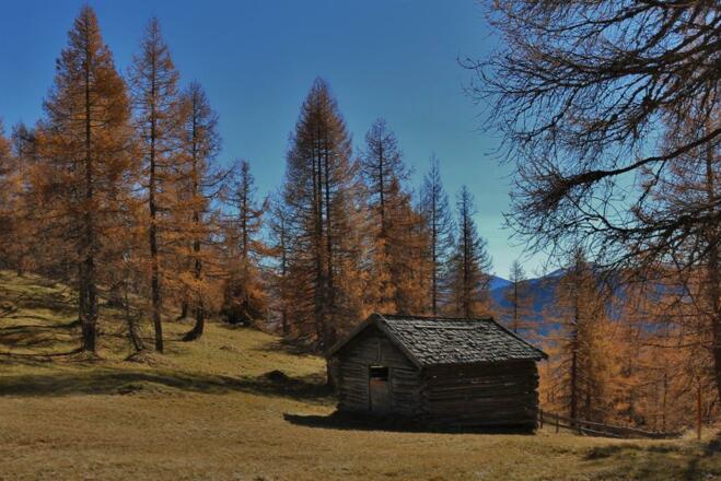 Eulenwiesen im Herbst