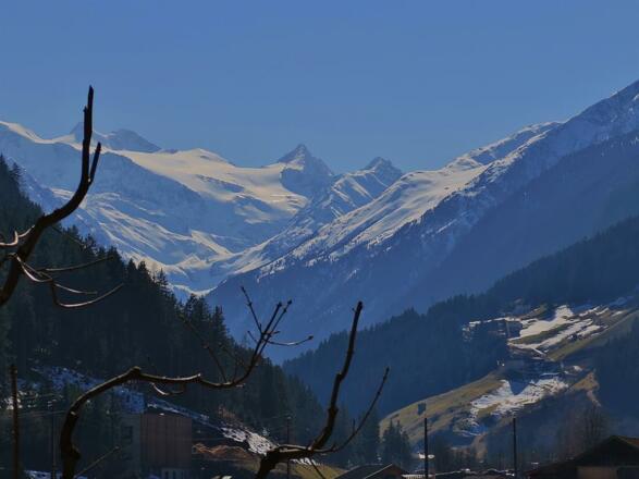Blick auf den Gletscher