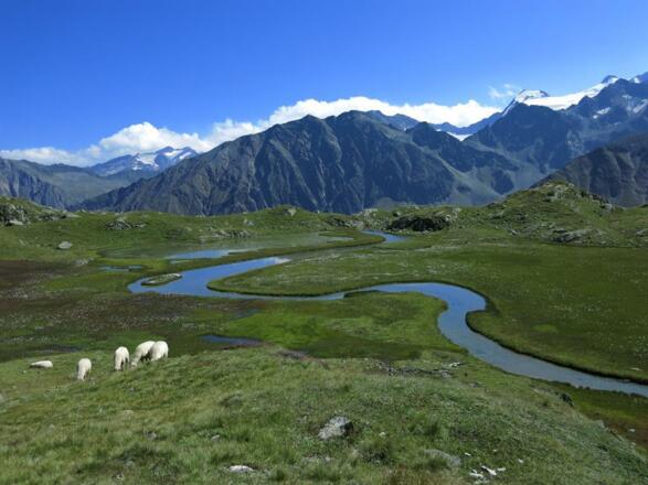 Hochmoor Mutterbergersee