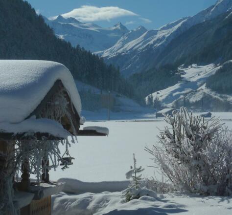 tiefverschneiter Garten mit Ausblick zum Gletscher