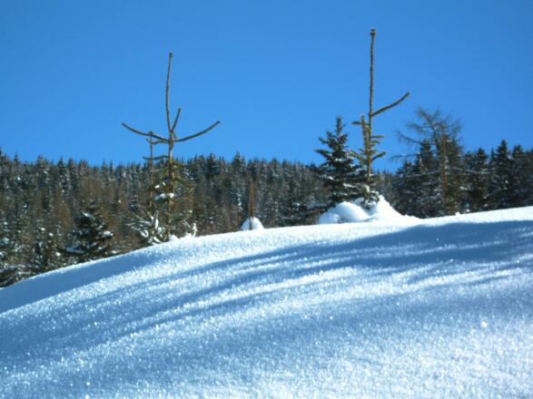 Ferienhaus Stubaiblick Winterlandschaft