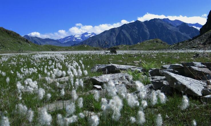 Hochmoor Mutterbergersee
