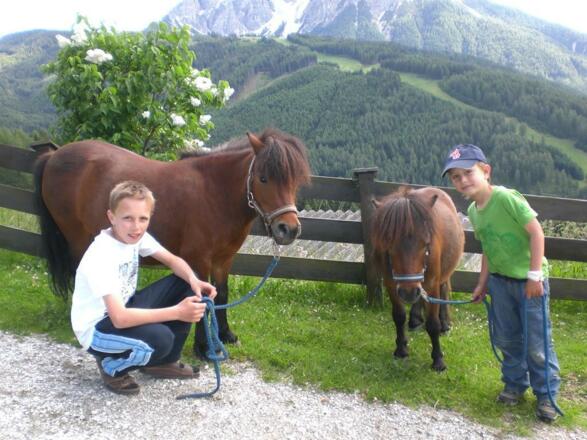 Alpengasthaus Gleinserhof Ponys