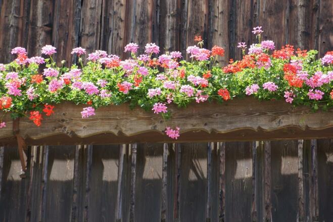 Pfunerhof, Blumenbalkon