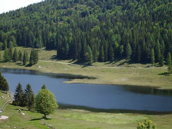 Seewaldsee Ausflugsziel St. Koloman