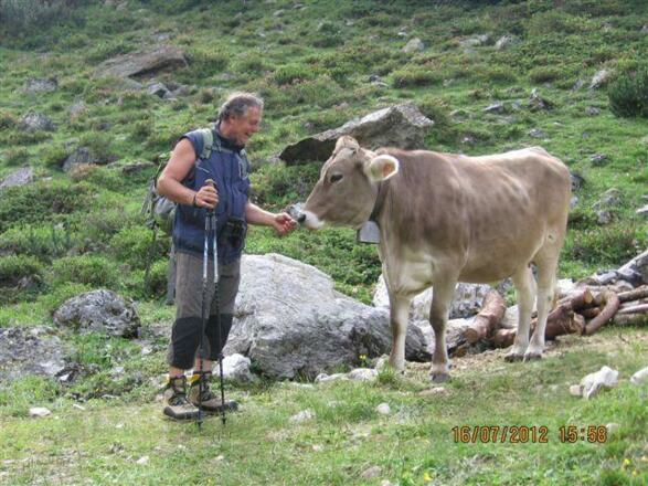 Alpengasthaus Gleinserhof Kuh