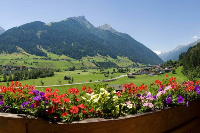 Pension Ladestatthof Ausblick im Sommer