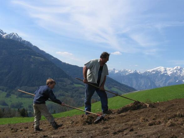 Alpengasthaus Gleinserhof Feld