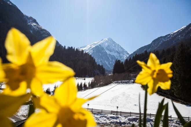 Waldcafe_Stubai-4969