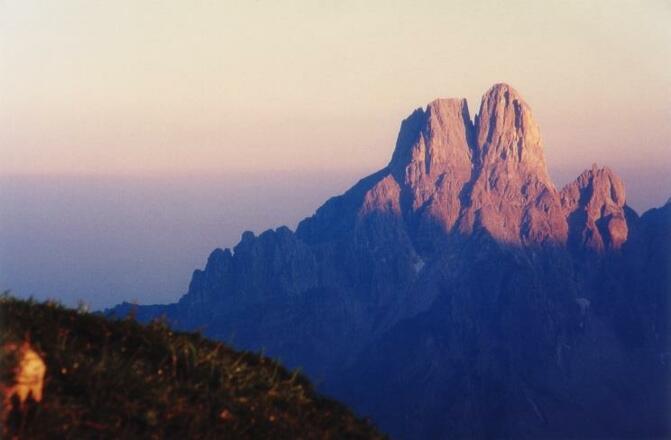 bischofsmuetze neu heute