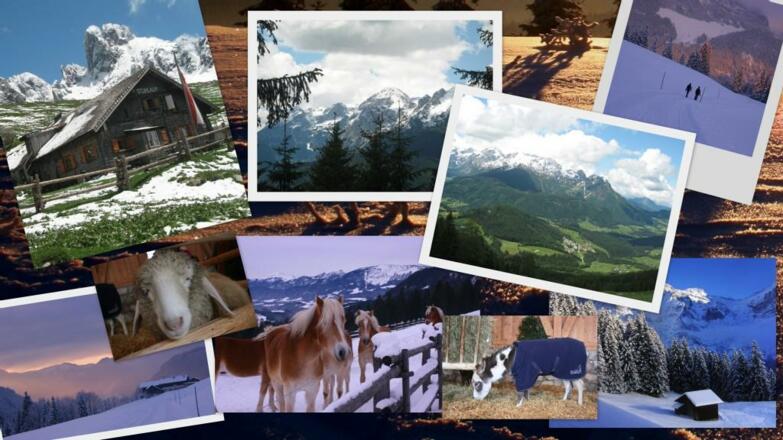 9ed9248d-5669-410d-aa24-7928140cd86d.1.10