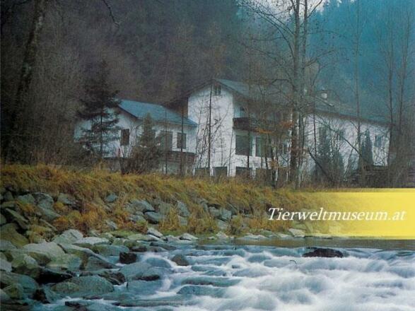 Salzkammergut Tierweltmuseum 1