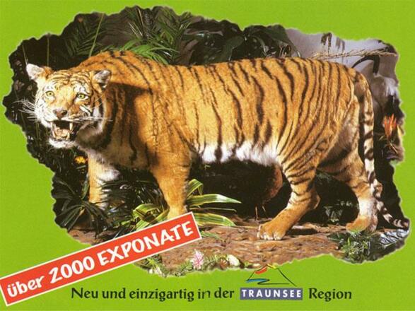 Salzkammergut Tierweltmuseum