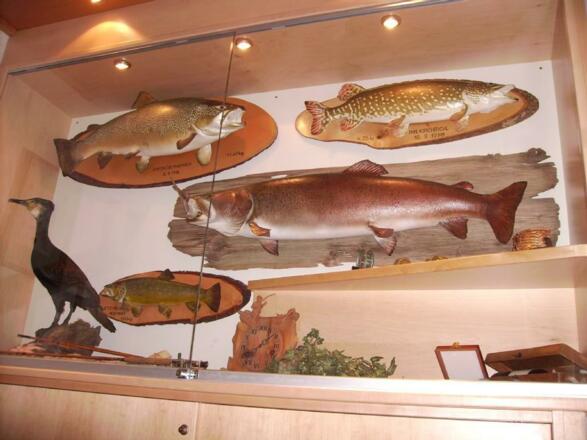 Hauseigene Fischzucht