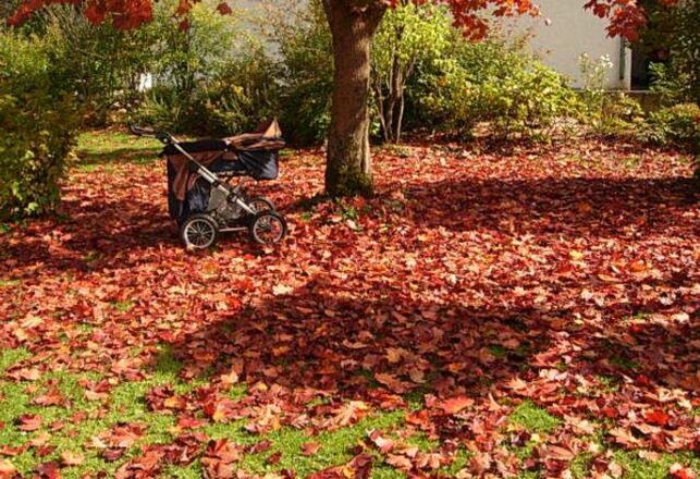 Der Herbst spielt mit tollen Farben im Garten Wassermann