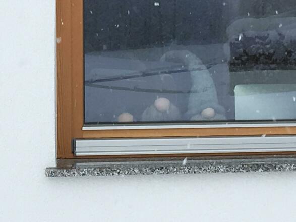 Die drei Hauswichtel