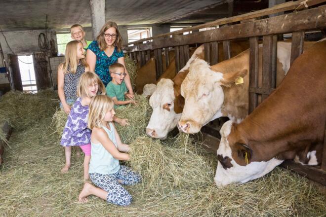 Kinder füttern Kühe `Biohof Stadler`