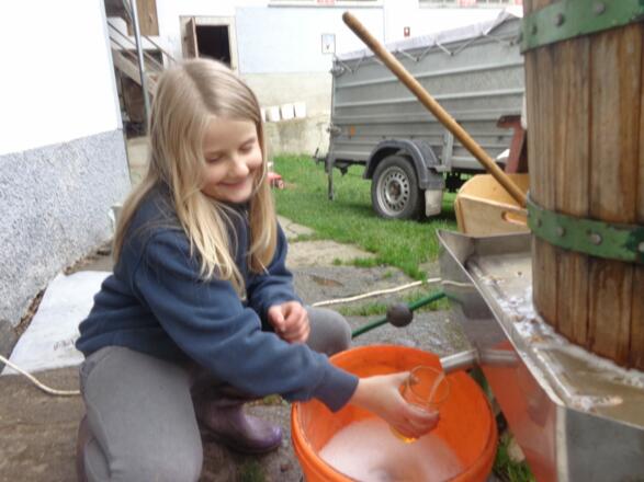 frischer Apfel-Birnen-Saft