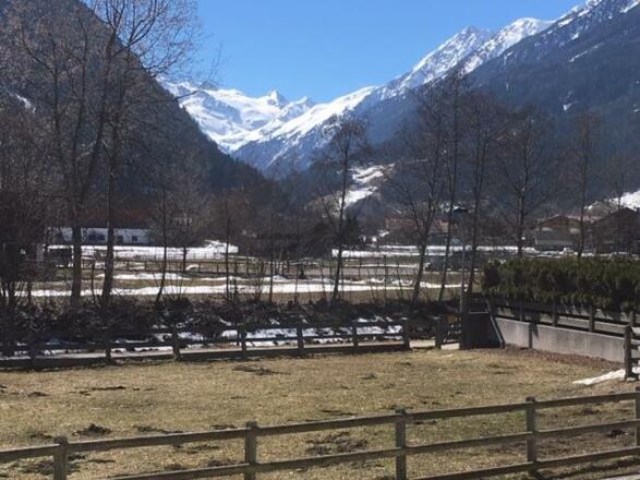 Ausblick von der FeWo Scheibe