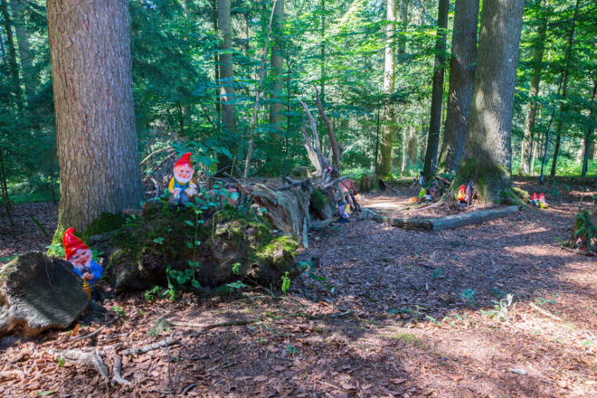 Stadlers Zwergenreich