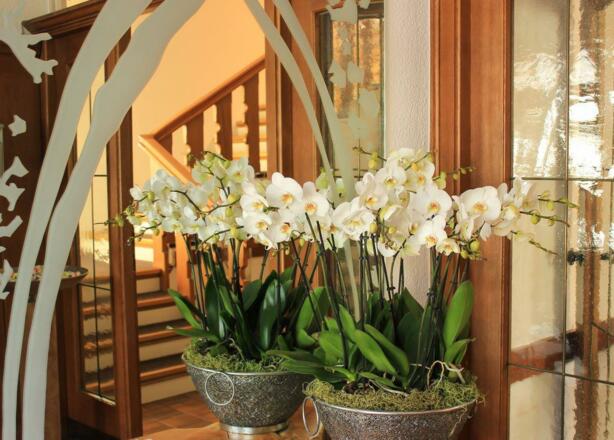 Eingang Hotel Alpenland in Wattens