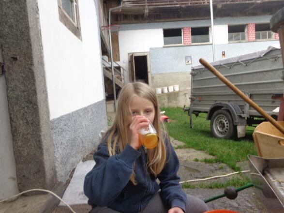 frischer Apfel-Birnen-Saft Biohof Stadler