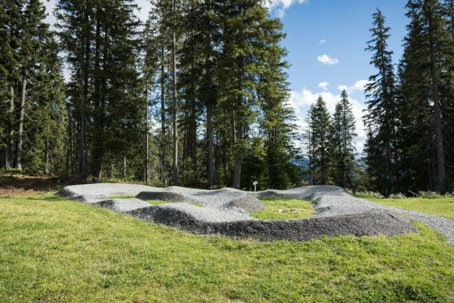 Skill Area/Pumptrack Traingingsgelände